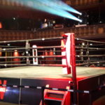 FIGHT N FORM au meeting Red Diamond Winamax au Trianon